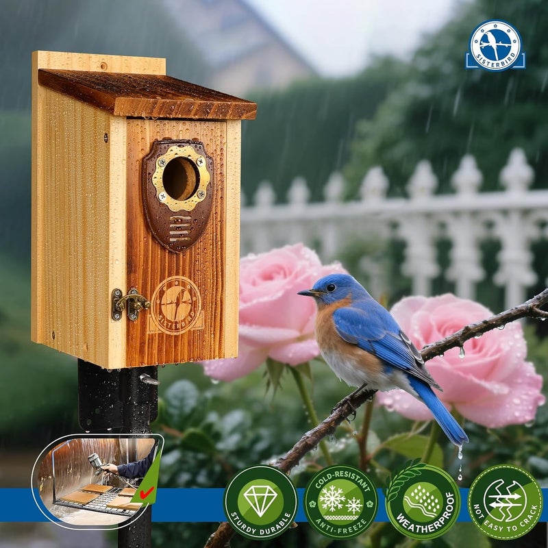 SISTERBIRD Bird Houses for Outside, Premium Wooden Bluebird Houses for Outside, Assembly Birdhouses for Outdoors, Weatherproof Bird House, Bluebird Finch Swallow Wren Chickadee - Image 5